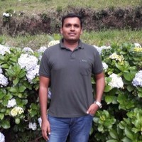Raveendhar K