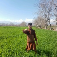 Zyarmal Arab