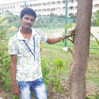Ruban Chakkaravarthy