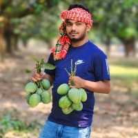 Md Mojahid Islam