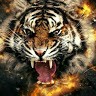 Neeraj Ch