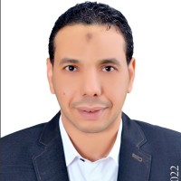 Araby Sayed