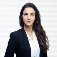 Dorin Erdis