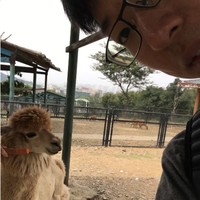 赵佳奇