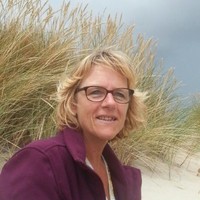 Joke De Vries