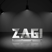 Zargham Abbas