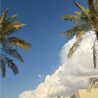 Nada Al-Hamad