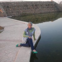 Nagwa Abdelzaher