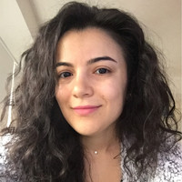 Luca Stefania