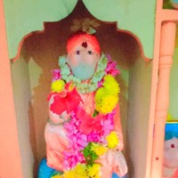 Joshna Venkatesalu