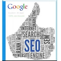 Seo Training in Chandigarh