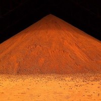 Merrie-Ellen Gunning