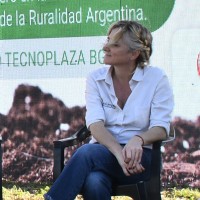 Mercedes Borrás
