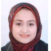Abeer Nasser