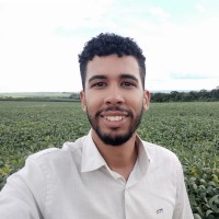 Davi Amaro Guimarães