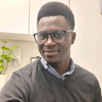 Stephen Ilelaboye. Mbbs, Pmp®