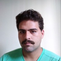 Mario Henrique Pereira De Freitas