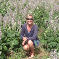 Susie Birdsell Steiner