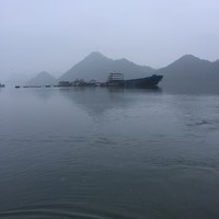 吴小苏