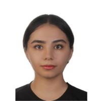 Shanli Alefkhani