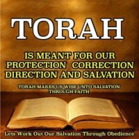 Cynthiyah Yisrael