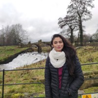 Laiba Haroon