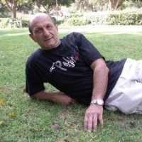 שלמה פרייפלד