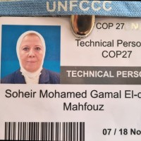 Soheir G Mahfouz