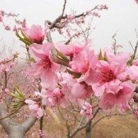 广发银行