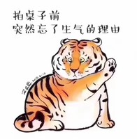 王梦冰