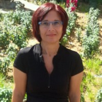 Iris Arbel