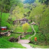 rezarta qose