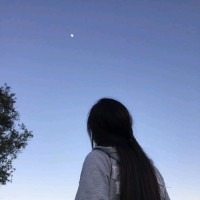 Anoush Rashid