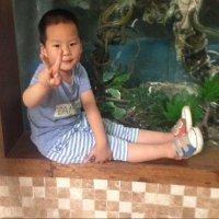 朱光泽