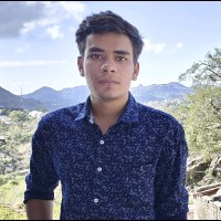 Nitin Bedi