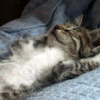 Laura Barrow