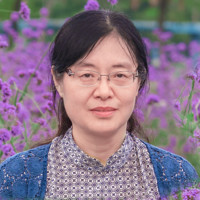 蔡志红