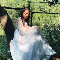 沈灵芝
