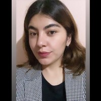 Mitzy De Jesus Pineda Navarrete