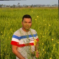 Dasrathi Baral