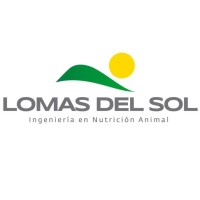 Lomas del Sol SRL