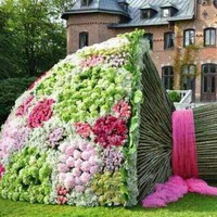 محمد الضيفي