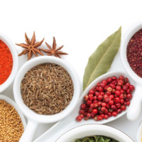 Verónica Patricia Palestina Hernández