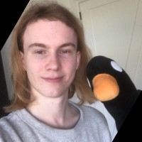 Mees Koppenol