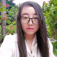 Yanmei Liu
