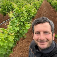 Massimo Pizzo