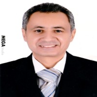 Sameer Soliman