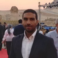 Ali Ibrahim Hassan - MBA