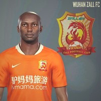 Stéphane Mbia