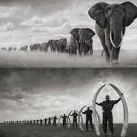 GLOBALCAMPAIGN DEFENDCAUSES